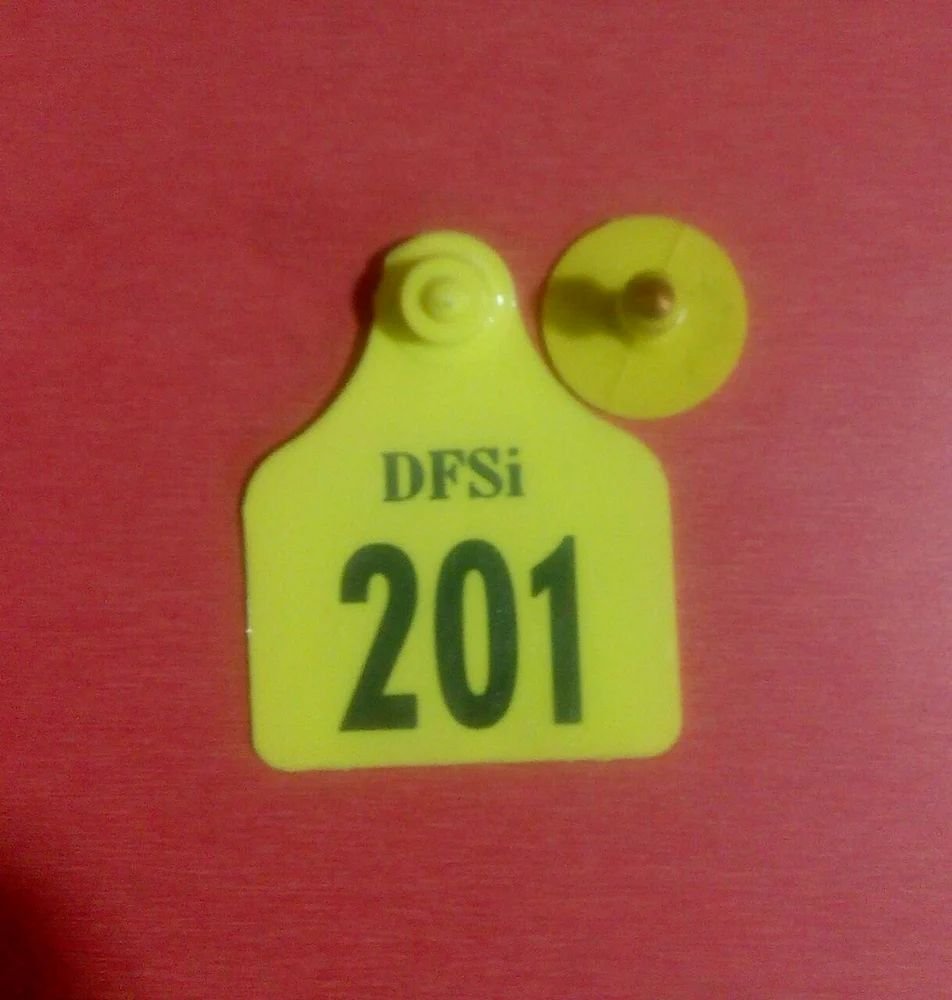 Animal Ear Tag