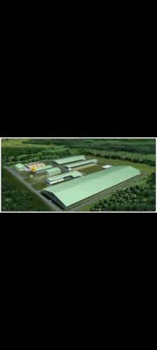 Cattle Shed Fabrication Service