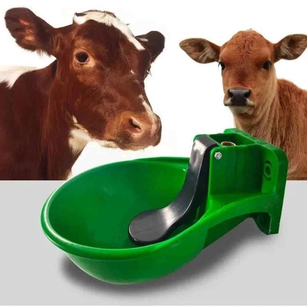 Cow Water Bowl