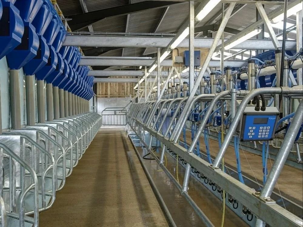 Herringbone Milking Parlour