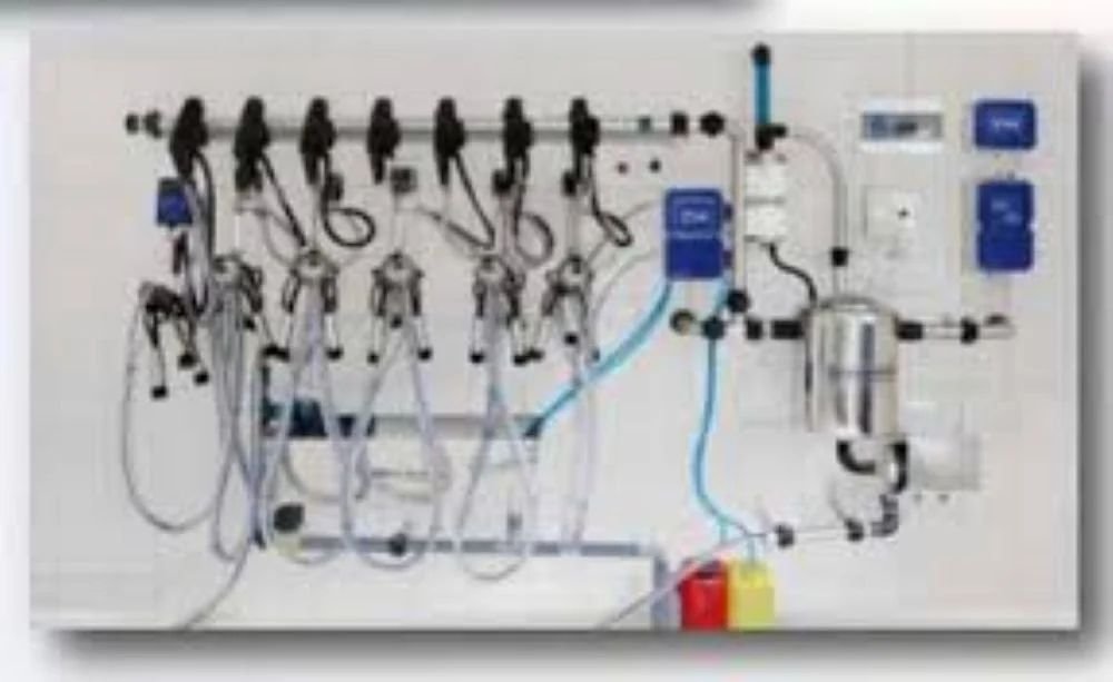 Online Milker Pointing Machine
